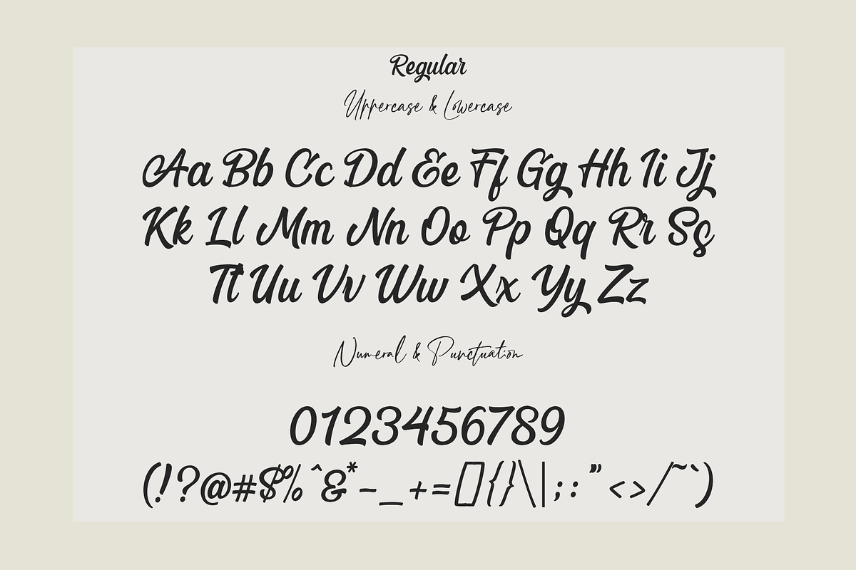 Blackbird - Script Typeface, a Script Font by overlaytemplates (Photo 4 of 7)