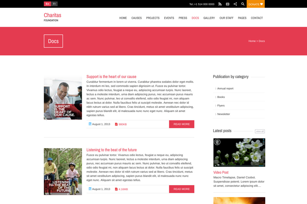 Charitas/Foundation WordPress Theme, a WordPress Template by WPlook WordPress Themes (Photo 2 of 5)