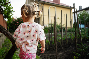 Little girl exploring a backyard garden filled with growing plants, a Person Photo by AS photostudio
