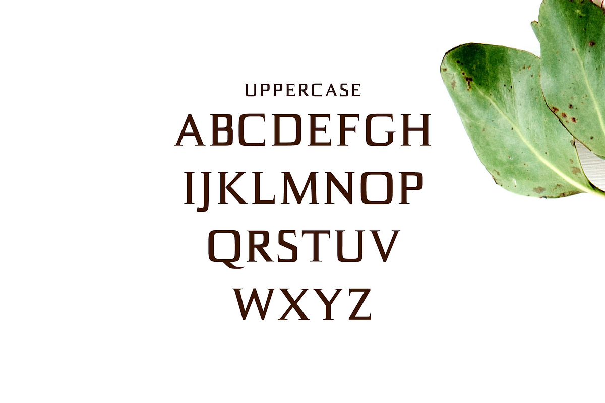 Birtle Serif 3 Font Family Pack, a Serif Font by Creativetacos (Photo 2 of 5)
