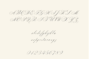 Allegra Script, a Script Font by Creative Foundry (Thumbnail 6 of 8)