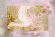 Mistline Soft Watercolor Backgrounds, a Background Graphic by alonahaidash (Thumbnail 2 of 14)