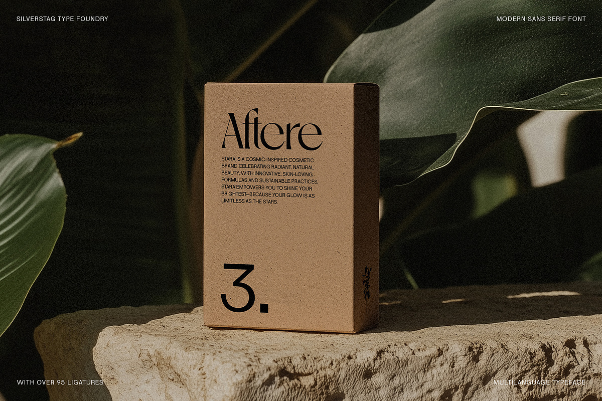 SLTF Night Windfall - Ligature Sans, a Sans Serif Font by SilverStag Type Foundry (Photo 5 of 30)