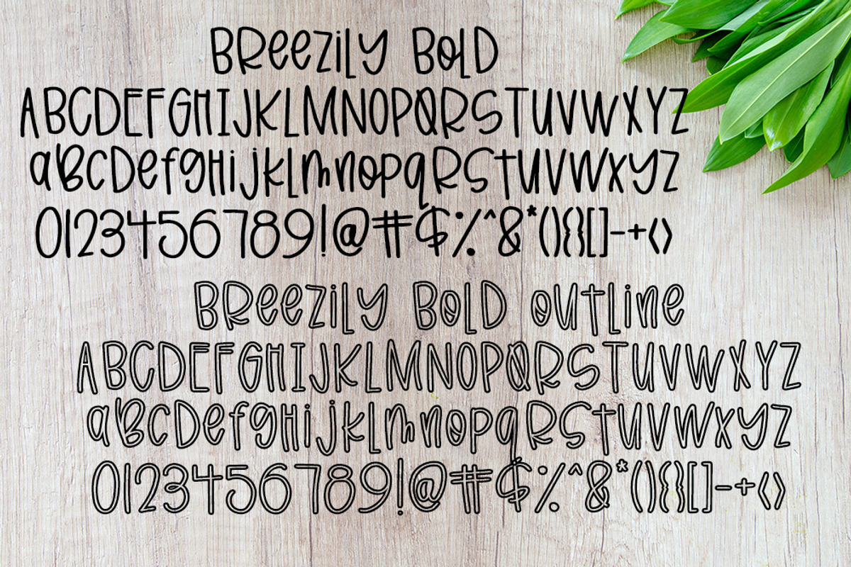 Breezily, a Sans Serif Font by Affinity Grove (Photo 10 of 11)