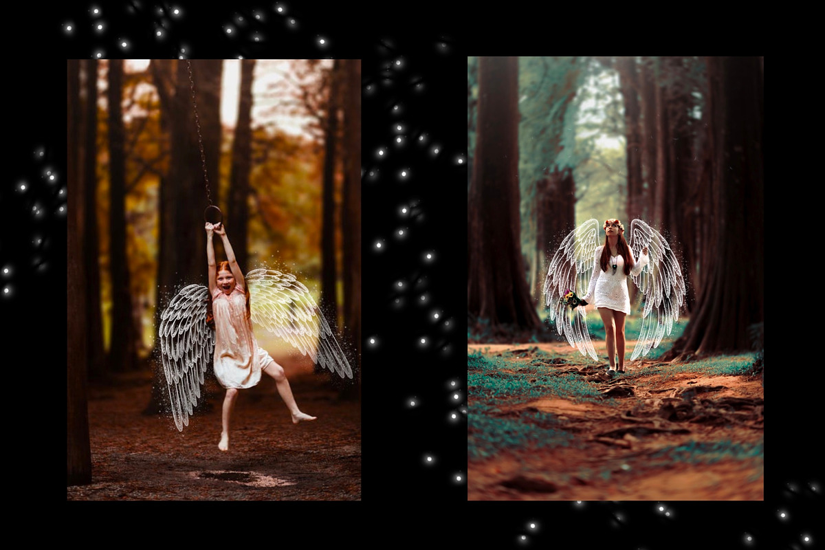 Angel wings stamps for Procreate, a Brush Add-On by Veronika Gotovceva (Photo 5 of 5)