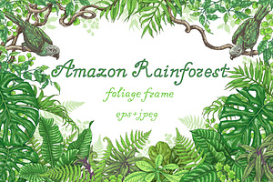 Amazon Rainforest Frame