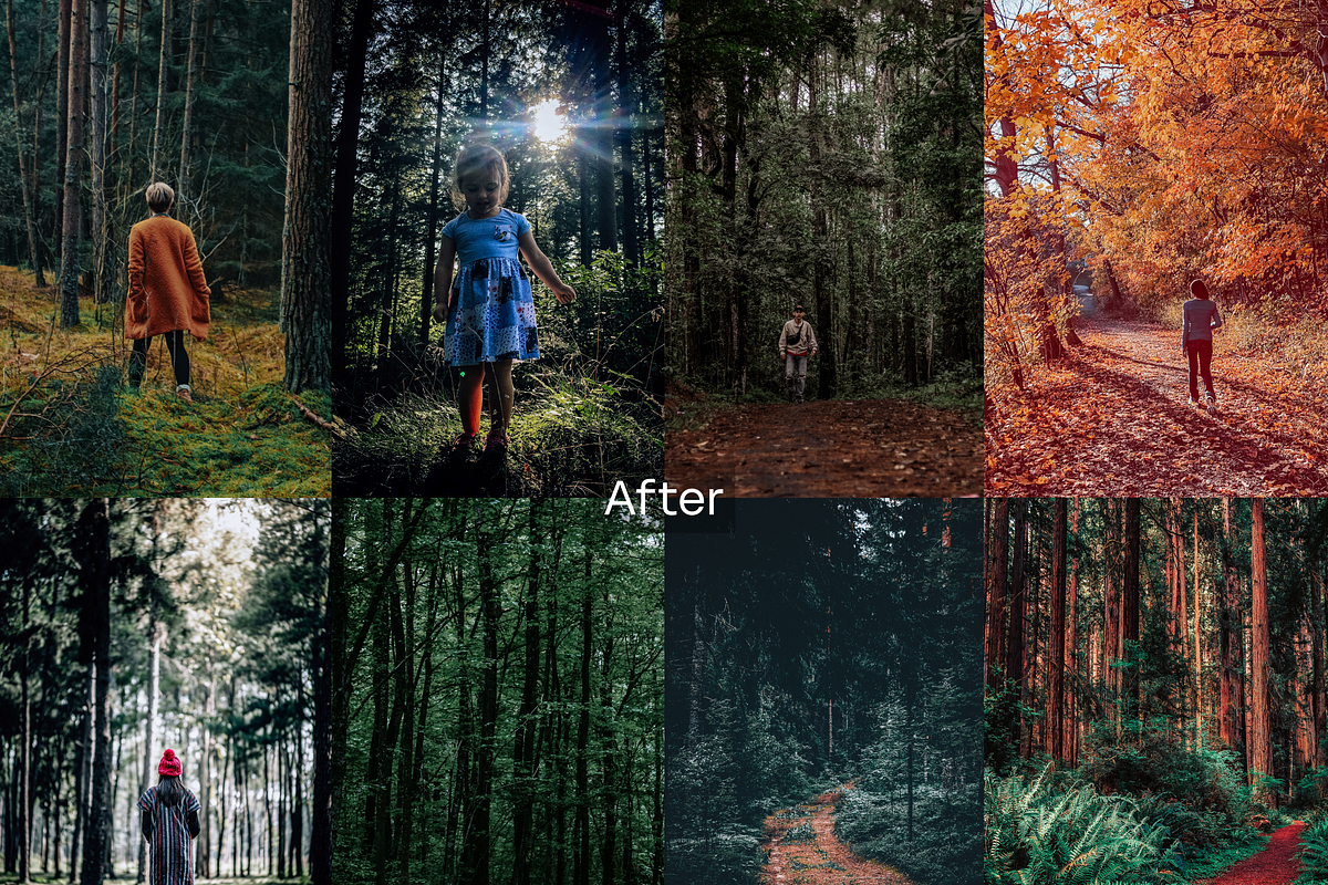 10 Forest Lightroom Presets, a Preset Add-On by RamsaGraphi (Photo 3 of 10)