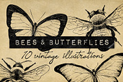Vintage Bee Butterfly Illustrations, an Icon by Hatch Design Workshop (Thumbnail 1 of 8)