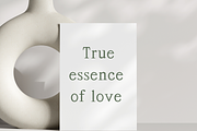 Harvest - Elegant organic serif font, a Sans Serif Font by Sk designs (Thumbnail 9 of 10)