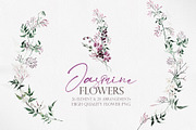 Watercolor flower - Jasmine, an Illustration by Beigetime (Thumbnail 1 of 16)