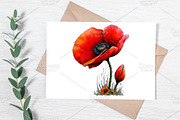 Spring Meadow Poppies Clipart Bundle, an Illustration by Canvas Craft (Thumbnail 6 of 7)
