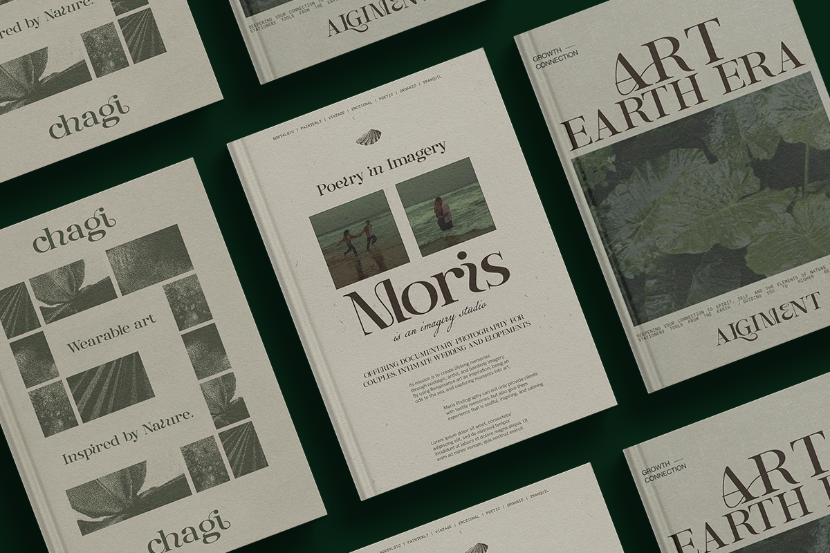 Entielin Decorative Serif Font, a Serif Font by Rasio Studio (Photo 7 of 9)