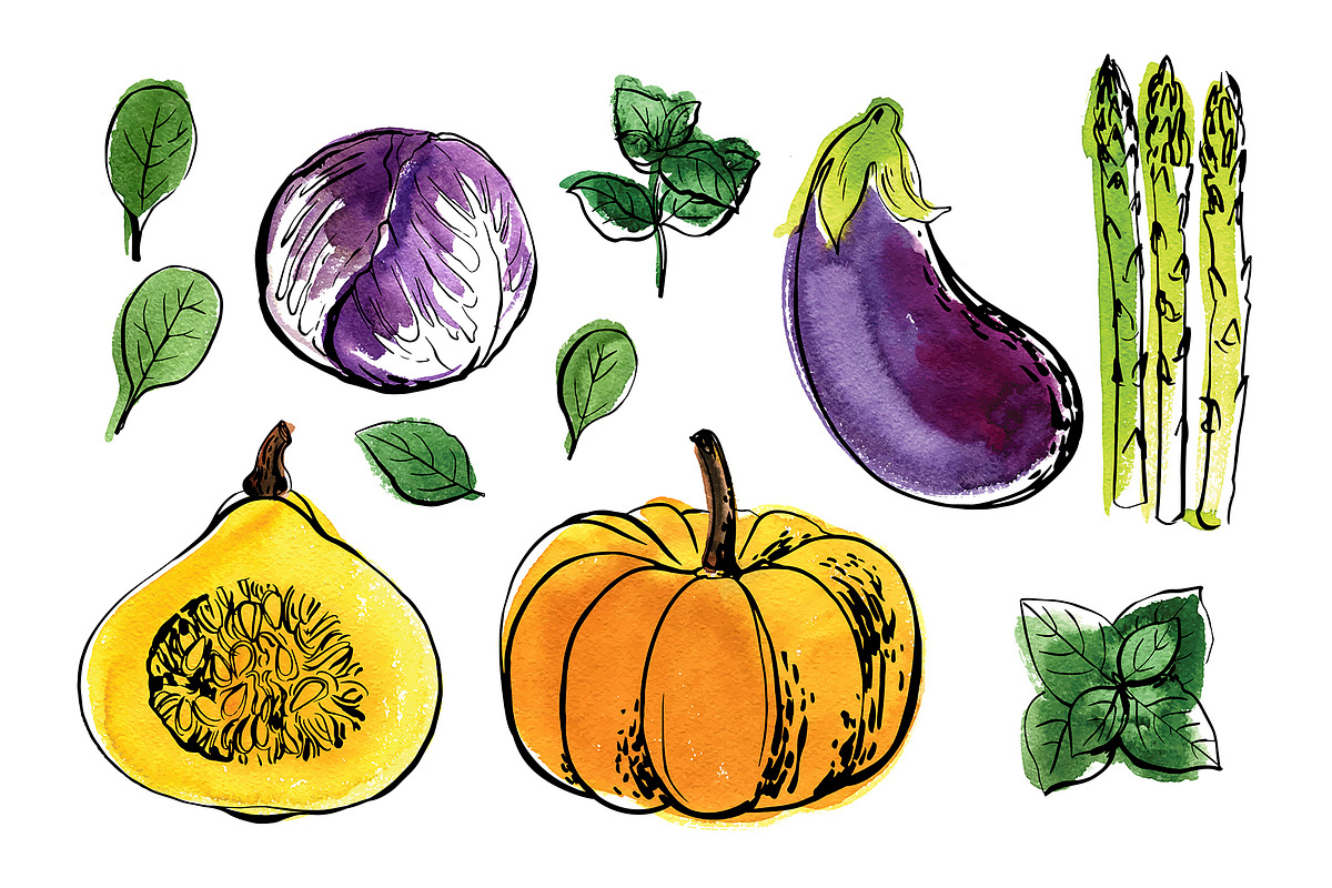 Vegetables vector sketch watercolor, a Food Illustration by irina.vaneeva (Photo 12 of 18)