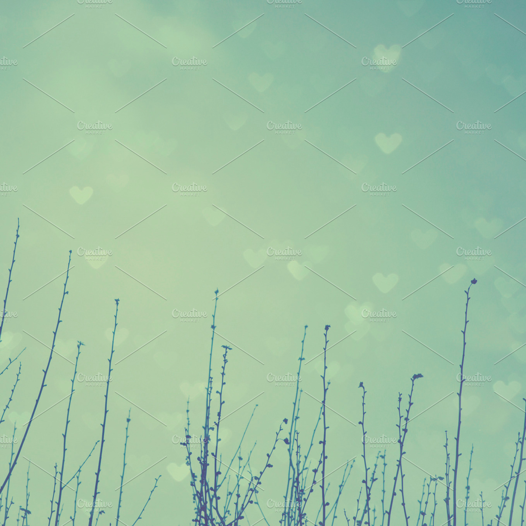 Lovely Heart Bokeh