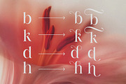 Barklie - A Nostalgic Serif Typeface, a Serif Font by Brand Earth (Thumbnail 4 of 8)