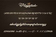 THE MAGNITUDE script, a Script Font by Olexstudio (Thumbnail 8 of 9)