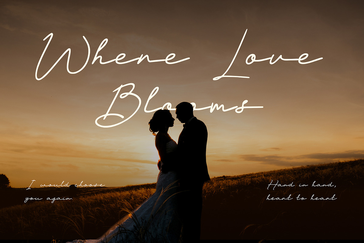 Elegance Wedding – Veilglos Font, a Handwritten Font by Stylin Studio (Photo 2 of 9)