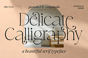 Delicate Calligraphy Elegant Serif, a Serif Font by Vampstudio (Thumbnail 1 of 14)