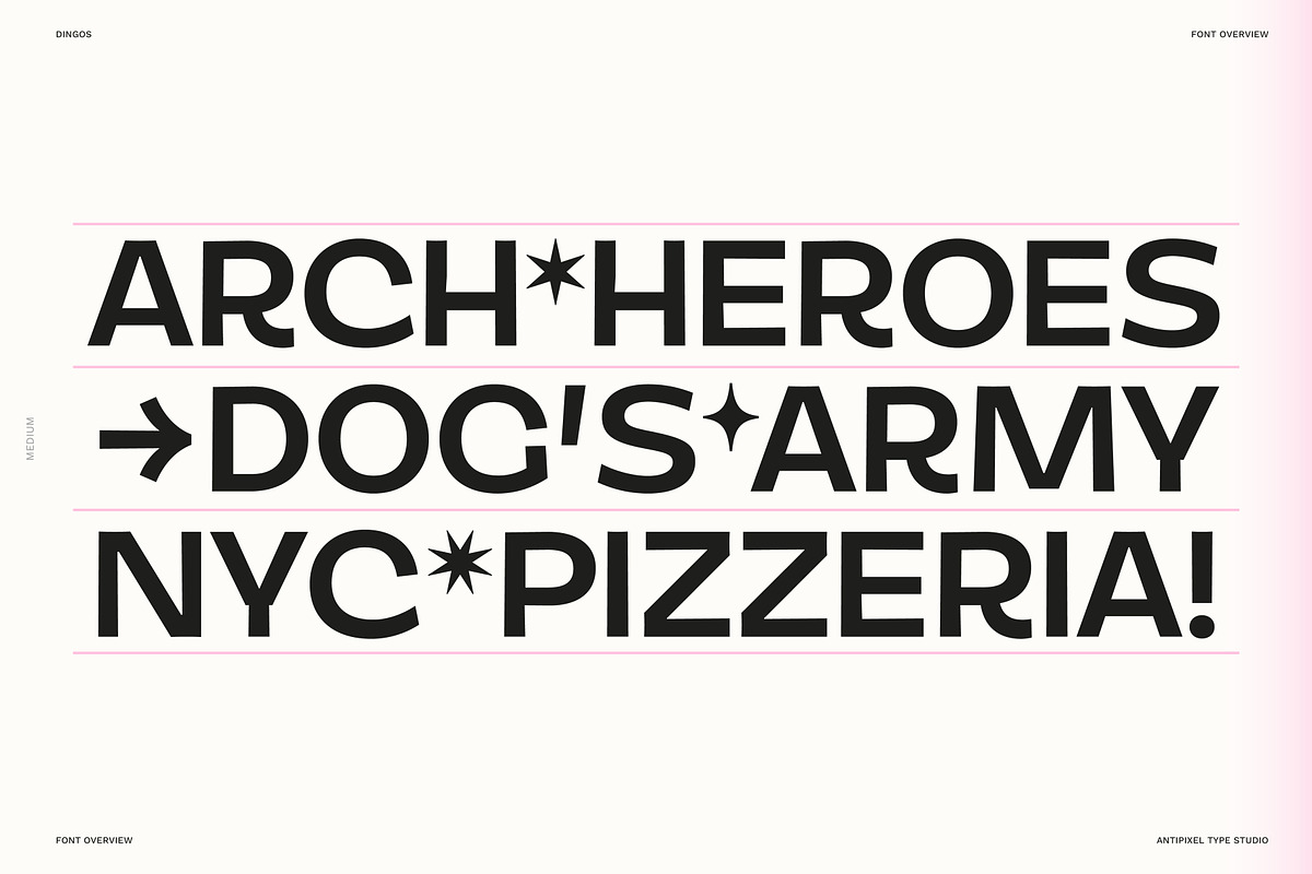 Dingos | Compact Chunky Display Sans, a Sans Serif Font by Antipixel Type Studio (Photo 15 of 16)