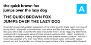 Ambulatoria B, a Sans Serif Font by Pepper Type (Thumbnail 4 of 15)