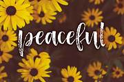 Hartfordshire, a farmhouse font, a Script Font by Rachel White Art (Thumbnail 11 of 14)