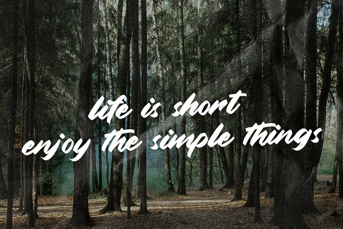 Alongside - Brush Handwritten Font, a Script Font by Arendxstudio (Photo 14 of 15)
