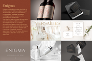 Elegant Serif Bundle, a Serif Font by Larin Type Co. (Thumbnail 6 of 18)