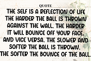 Moonlight, a Script Font by FreshTypeINK (Thumbnail 6 of 7)