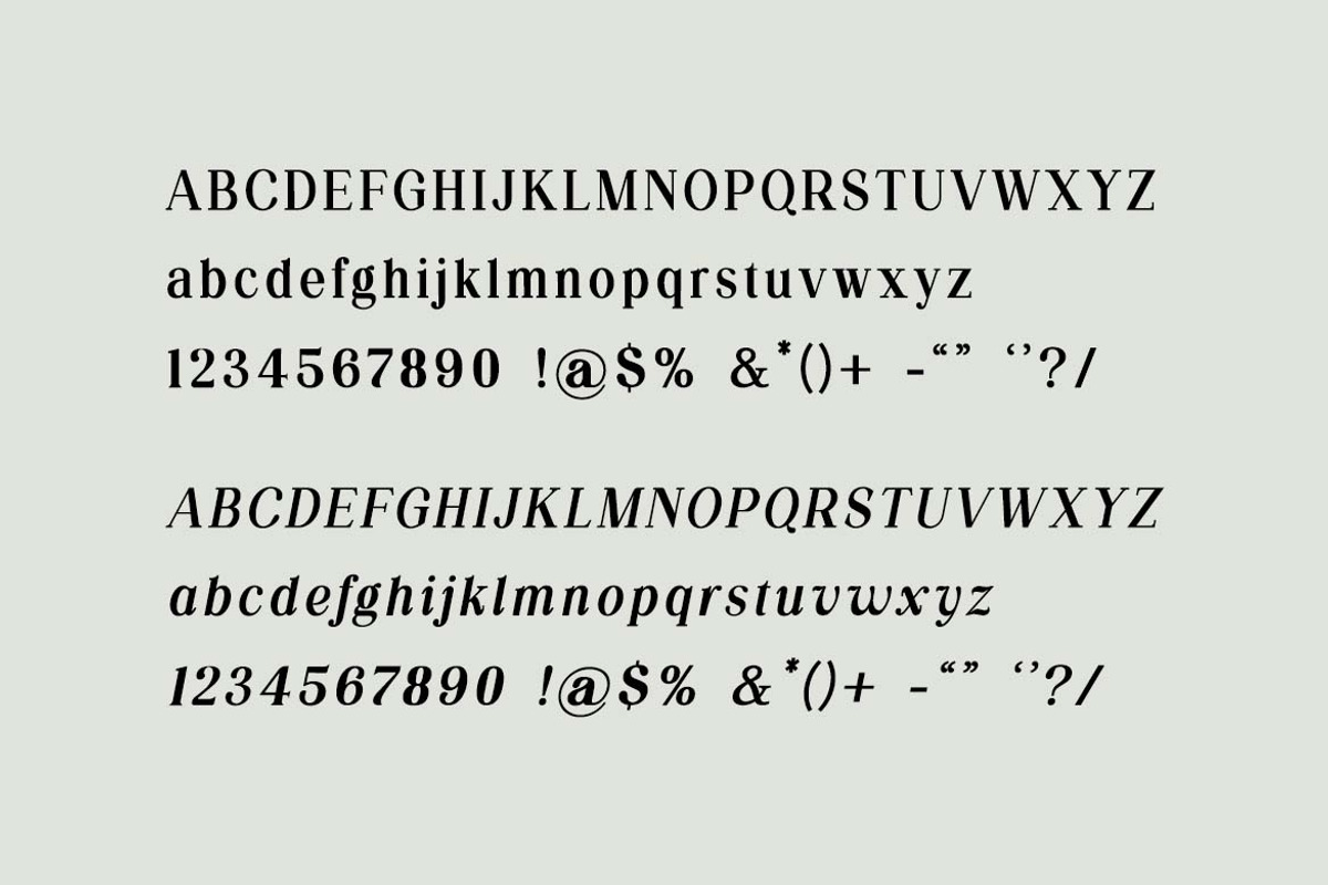 Silvex Editorial Serif Family Font, a Serif Font by UICreative (Photo 7 of 13)