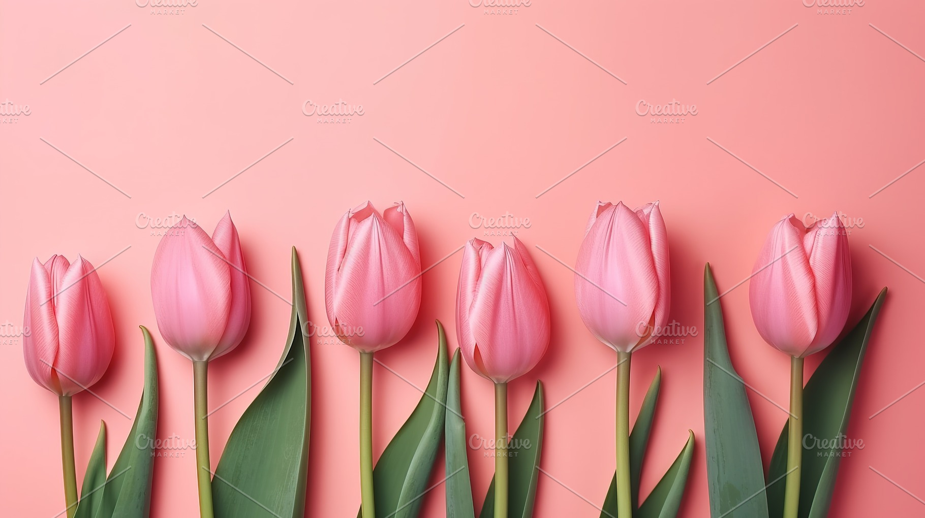 colorful tulip background, a Nature Photo by Virgo Studio