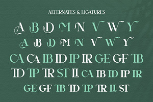 Agnista All Caps Serif Font