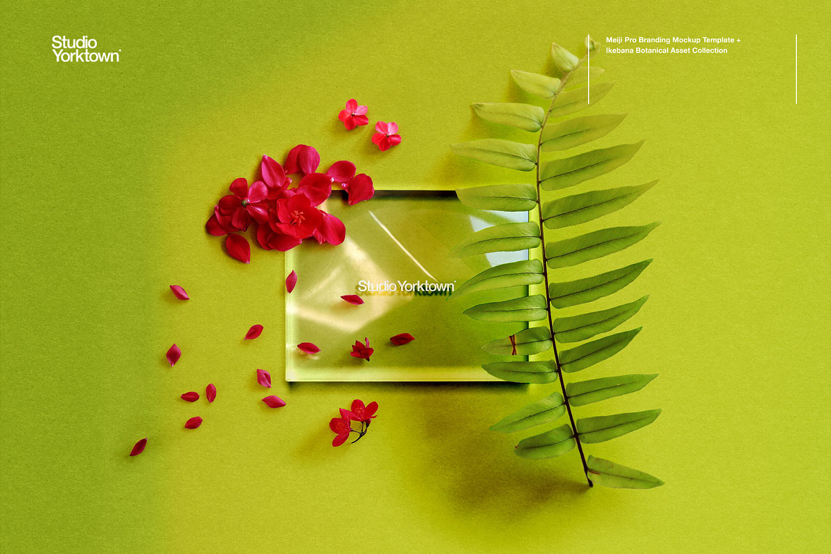 Meiji Pro Branding Mockup Template, a Mockup by Studio Yorktown (Photo 15 of 20)