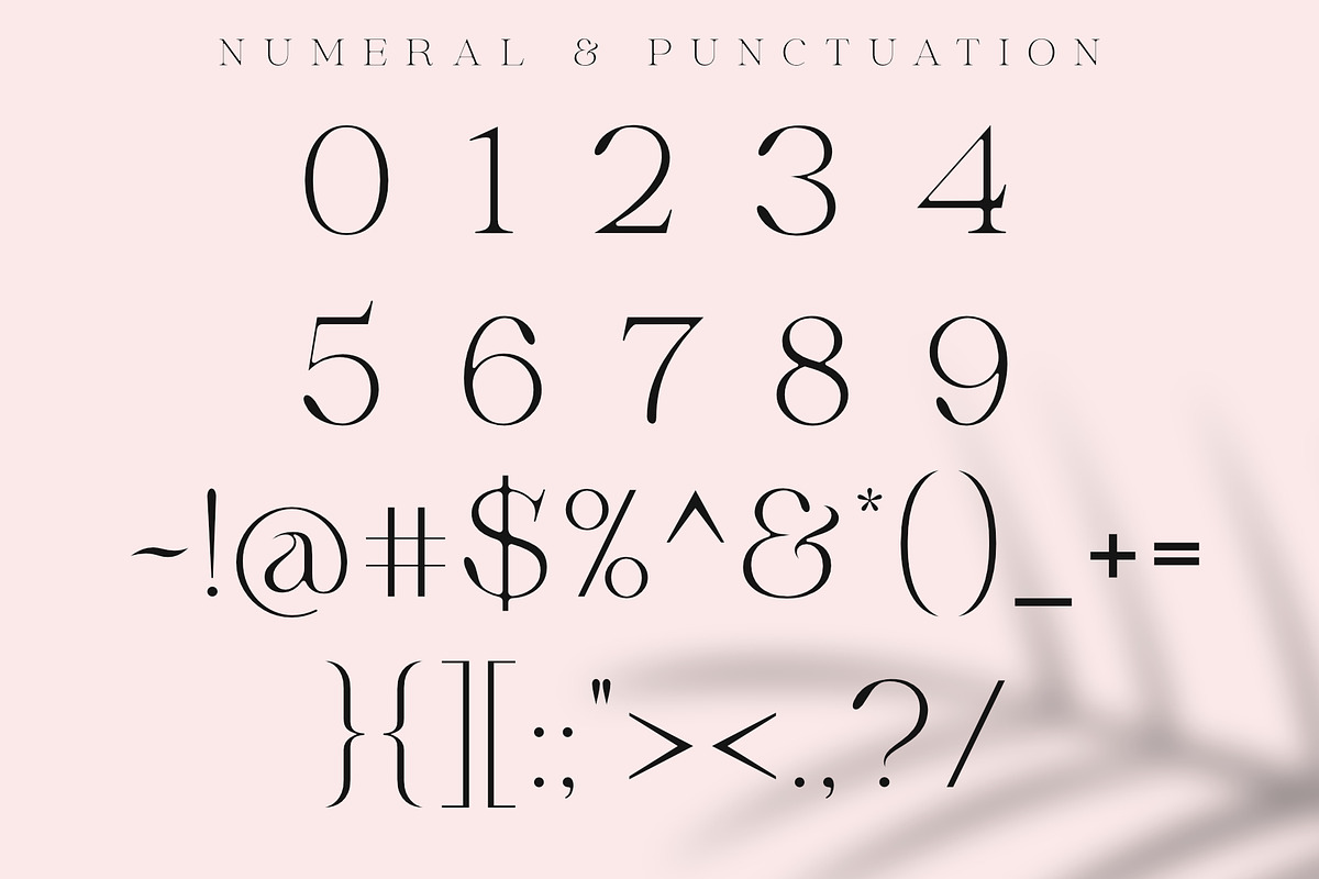 Megans | Elegant Stylish Serif, a Serif Font by Sealoung (Photo 15 of 16)