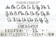 Trailer Valentine, a Handwritten Font by FreshTypeINK (Thumbnail 6 of 8)