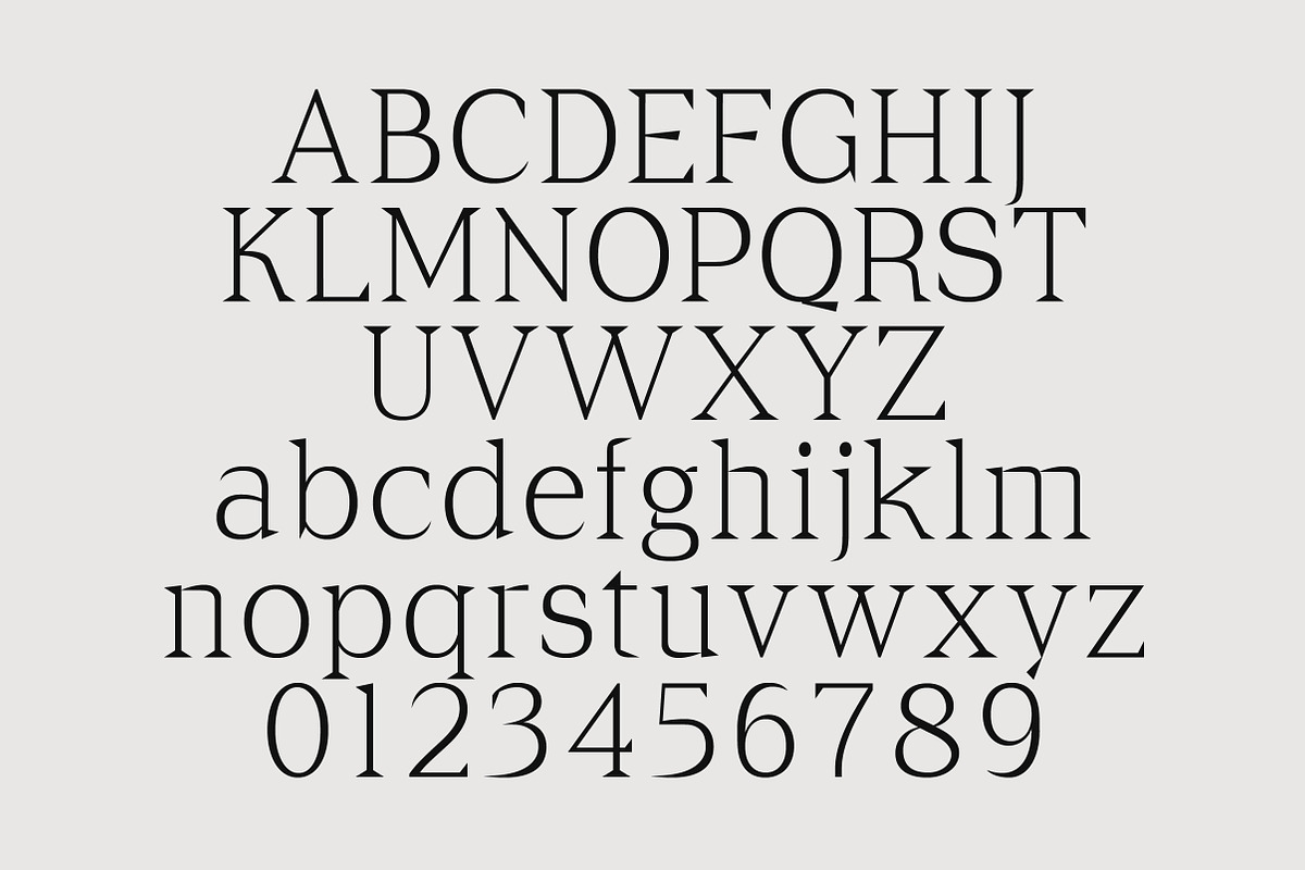 Cirvia Timeless & Fresh Serif Family, a Serif Font by Lettertype Studio (Photo 9 of 15)