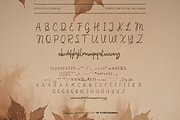 Bellofandia Font, a Handwritten Font by Letterhanna Studio (Thumbnail 12 of 15)