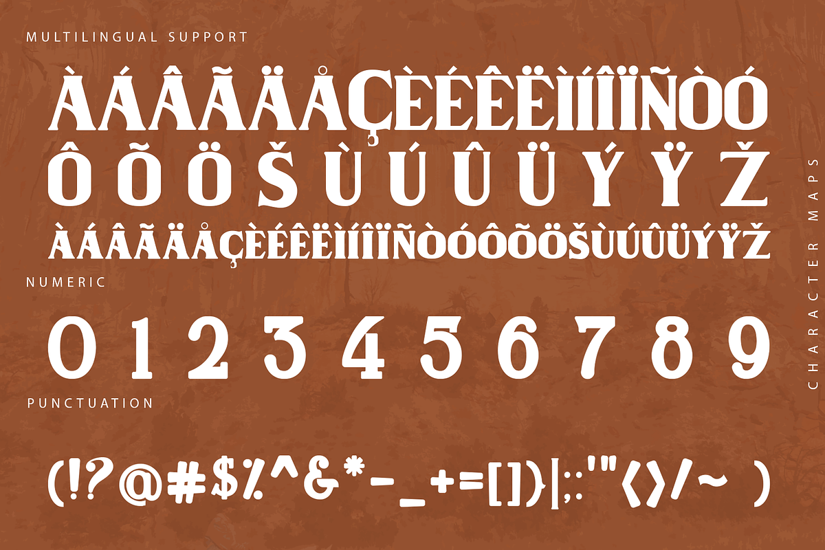 Wilson Hawk - Modern Serif Typeface, a Serif Font by overlaytemplates (Photo 6 of 6)