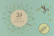 Just hand-drawn leaves, a Decorative Illustration by tinybunnyshop (Thumbnail 5 of 11)