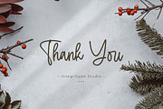 Menttally Weignota, a Script Font by Integritype Studio (Thumbnail 15 of 15)