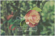 THE FLORAL COLLECTION iseeyouphoto