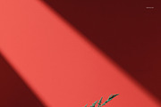 Christmas Decor & Wrapping Mockup, a Packaging Mockup by creatsy5 (Thumbnail 14 of 35)