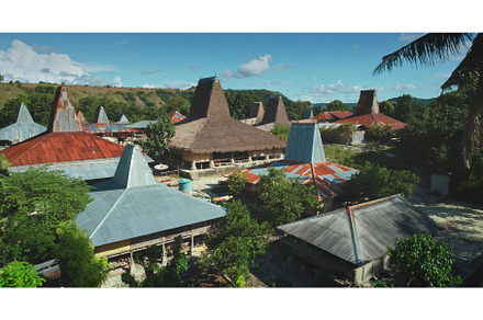 Traditional houses with conical