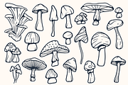 Wild Mushroom - Vector Illustrations, a Graphic by Jessica Tyson Design (Thumbnail 2 of 4)