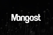 Raspberry Sturdy Typeface, a Sans Serif Font by Design Stag (Thumbnail 2 of 6)