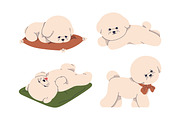 Cute dogs of Bichon Frise breed set, an Animal Illustration by Good Studio (Thumbnail 6 of 10)