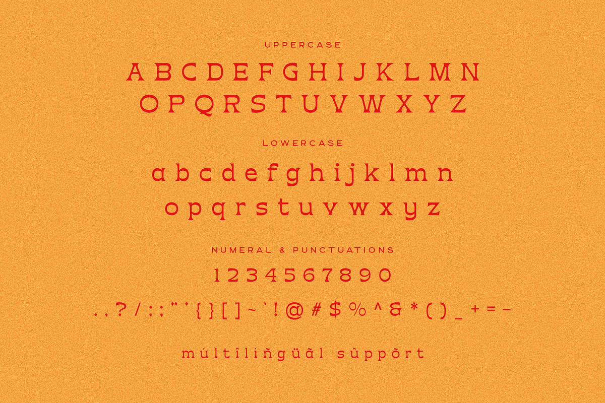 Hemas Serif Display Font, a Serif Font by Hishand Studio (Photo 8 of 10)
