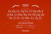 Owlie - Storybook Font, a Font by ikiiko (Thumbnail 6 of 7)