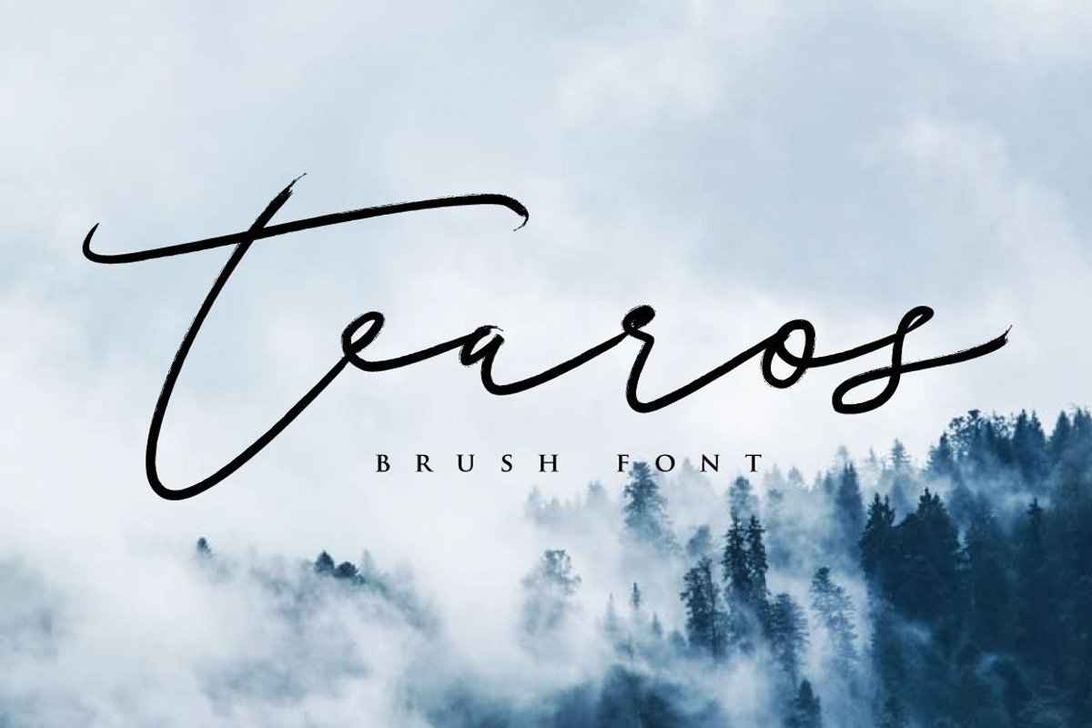 Tearos Typeface, a Script Font by Face Lab (Photo 1 of 5)