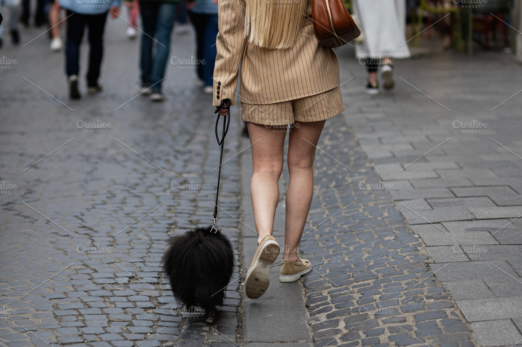 Person walking stylish black dog on paved street in urban setting, a Photo by AS photostudio