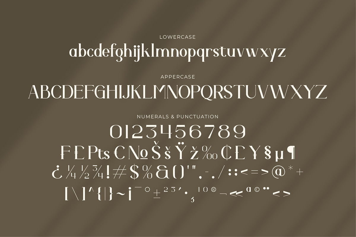 Aurenza - Modern Serif Font, a Serif Font by Rishsketch (Photo 14 of 15)